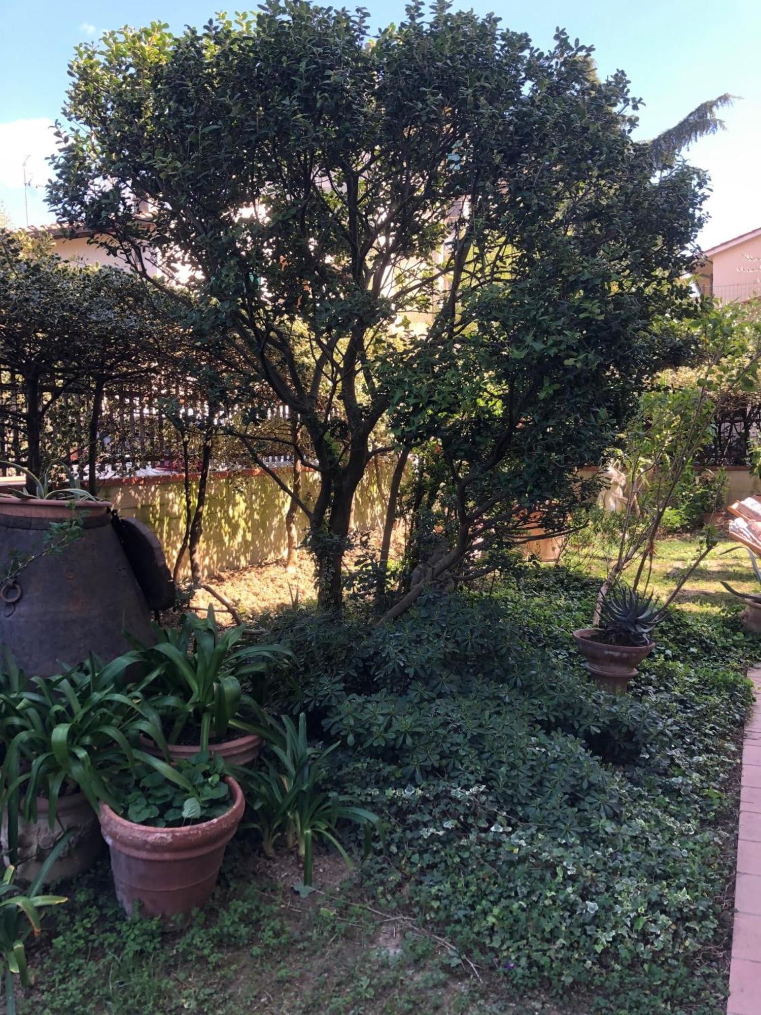 La Villa Bianca - Appartamento In Villa Sesto Fiorentino Buitenkant foto